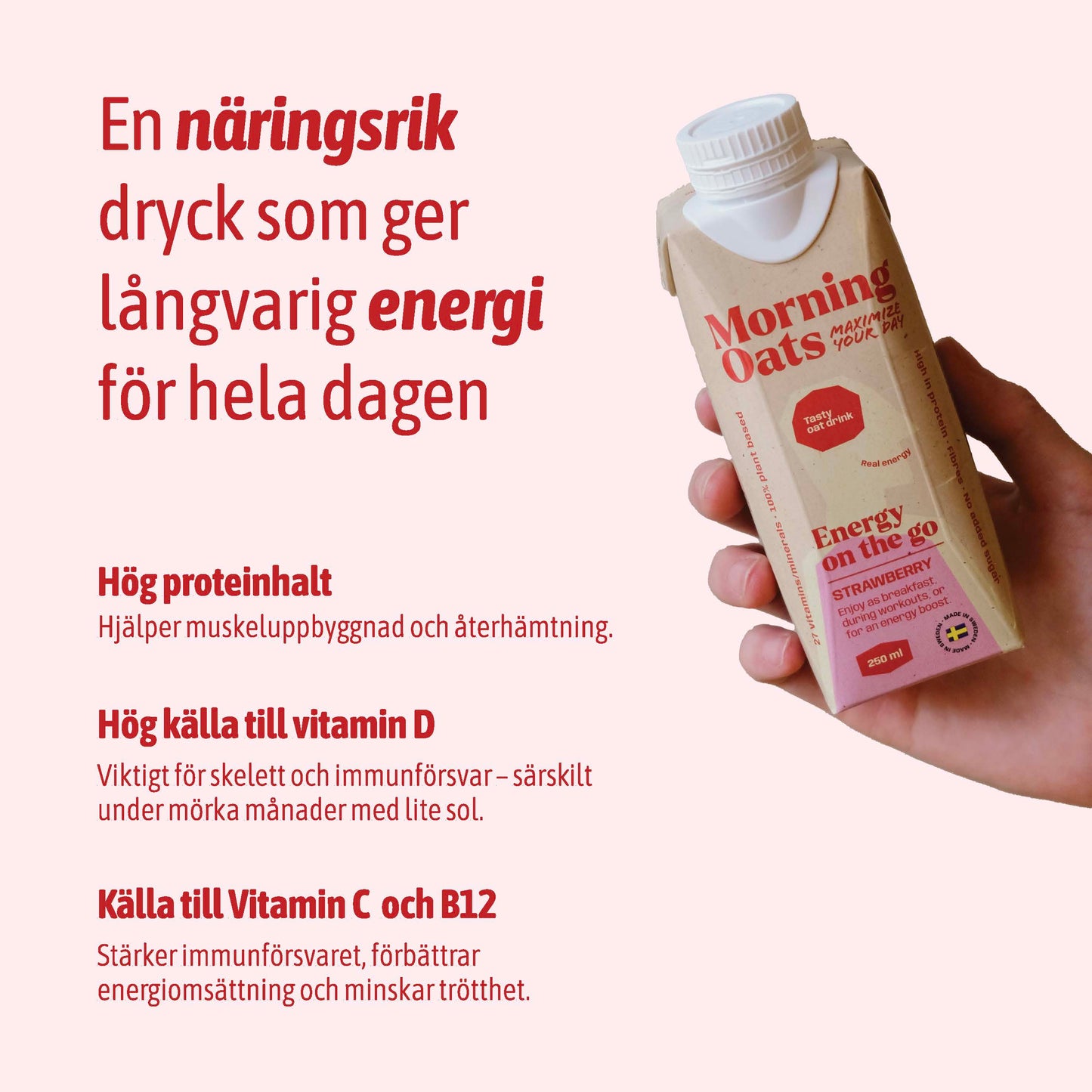 Morning Oats - Frukost på nolltid - välj 1 smak!