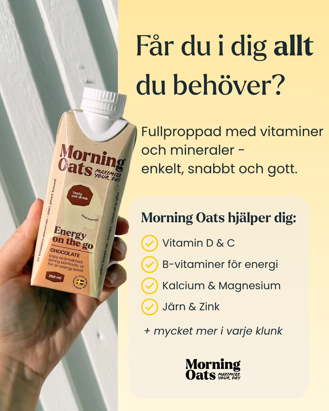 Morning Oats - Måltid på nolltid - välj 2 smaker!